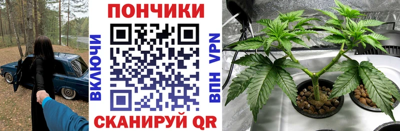 где найти   Ртищево  сайты даркнета телеграм  Канабис THC 21% 